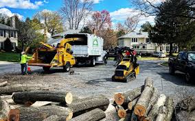 Best Hedge Trimming  in Marshall, WI