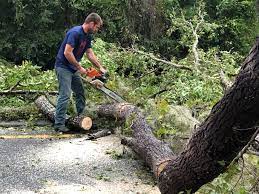 Best Seasonal Cleanup (Spring/Fall)  in Marshall, WI